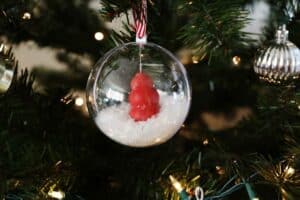 Red KONG in a snow globe on the tree