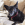 Perro negro con collar rojo