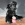 Black dog with pink KONG