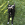 Un chien noir étalé dans l'herbe en plein air avec une balle KONG entre ses pattes avant.