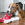 Een bruin-witte hond ligt op een houten vloer met een KONG-trekspeeltje in zijn bek.