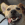 Un perro marrón y blanco tumbado con la lengua fuera a un lado de la boca.