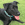 A black dog with a green collar sitting outside in the grass.