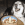 Un husky heureux avec un bol à friandises à l'intérieur.