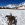 Barna kutya játszik a hóban a hegyi táj ellen.