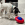 Cão branco e preto a pata de um brinquedo KONG vermelho e azul numa cozinha branca.