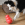 Schwarzer und weißer Hund, der einen roten KONG Wobbler mit herausfallenden Leckerlis betatscht.