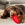 Un chien brun reniflant des friandises d'un KONG Classic rouge.