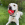 Un chien blanc dans l'herbe avec une balle KONG rouge dans la gueule.