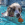 Un chien blanc et brun nage dans une piscine en tenant un jouet à eau KONG.
