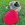 Un petit chien de couleur mélangée aux yeux bleus tenant un flyer KONG tout en étant allongé dans l'herbe.