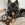 Ein schwarzer, erwachsener Hund liegt in einem Hundebett mit einem KONG-Bärenplüschtier.