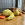 Un chiot marron dans une caisse qui se blottit contre une peluche KONG jaune en forme de canard.