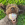 Um cão castanho e cinzento deitado na relva com uma bola de KONG mutlicolor na boca.