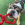 Ein brauner, weißer und schwarzer Hund, der an einem roten KONG-Spielzeug zerrt.