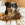 Un chien brun et blanc se blottissant dans son lit avec une peluche KONG.