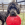 Un perro negro con un volante KONG en la boca.