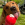 Um cão castanho a lamber uma guloseima de um KONG vermelho.