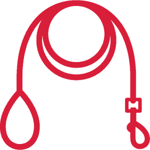 Accessories red dog leash icon.