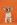Kleine bruine en witte hond tegen een oranje achtergrond.