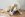 Senior golden retriever hond likt aan een paarse KONG op een houten vloer